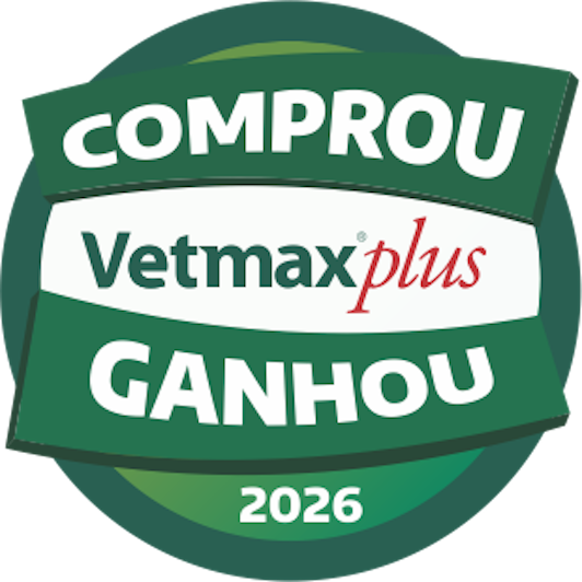 Logo de campanha
